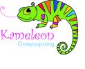 Logo Kameleon (Stedelijke groepsopvang)